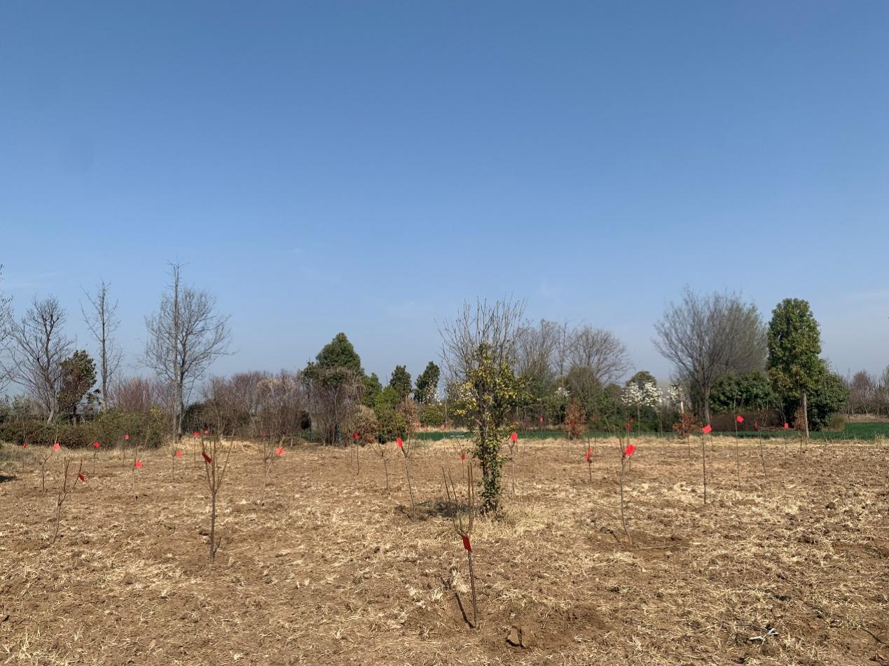 圖片9.png 圖片9.png